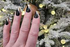 480699744_1187966416662535_3058754495801008298_n