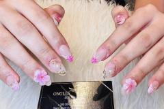 494643667_1256558949803281_8758715812019369648_n