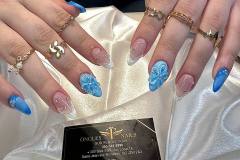 499445783_1272988831493626_2872665220596341769_n