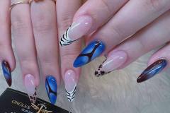 583186471_1427919116000596_7876215893905492467_n